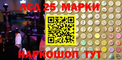 шишки Бердск