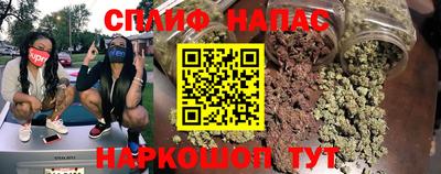 шишки Бердск
