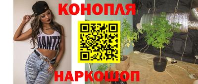 шишки Бердск
