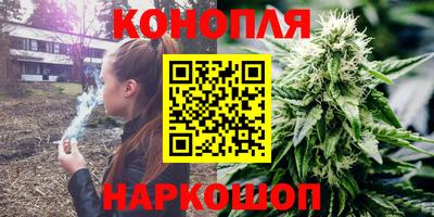 шишки Бердск
