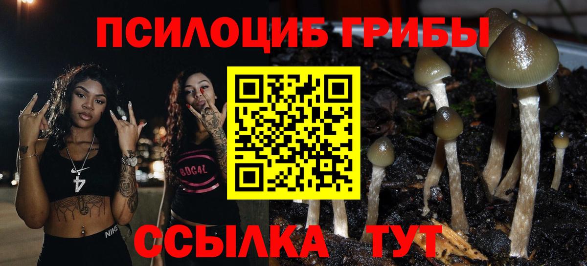 Галлюциногенные грибы Cubensis Коломна